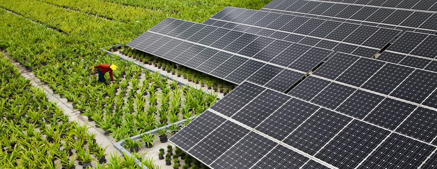 agriculture farm and solar panels