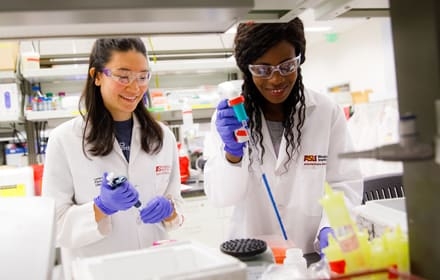 students in laboratory
