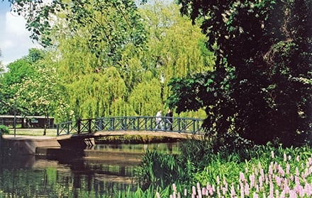 Students walking at the University of York