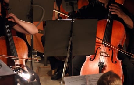 two violoncello in orchestra
