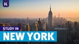study in New York video