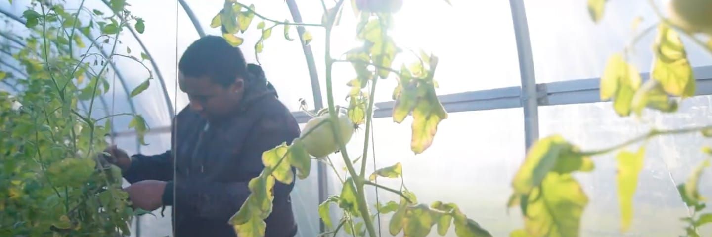 UConn Extension is growing food and health video