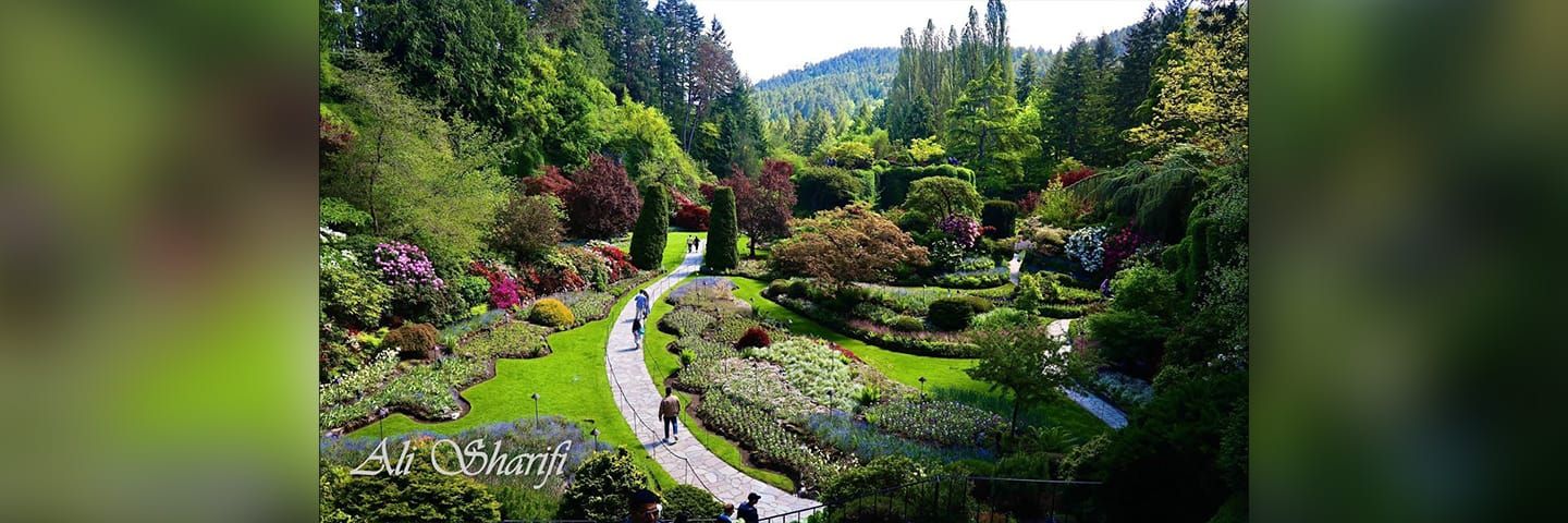 The Butchart Gardens